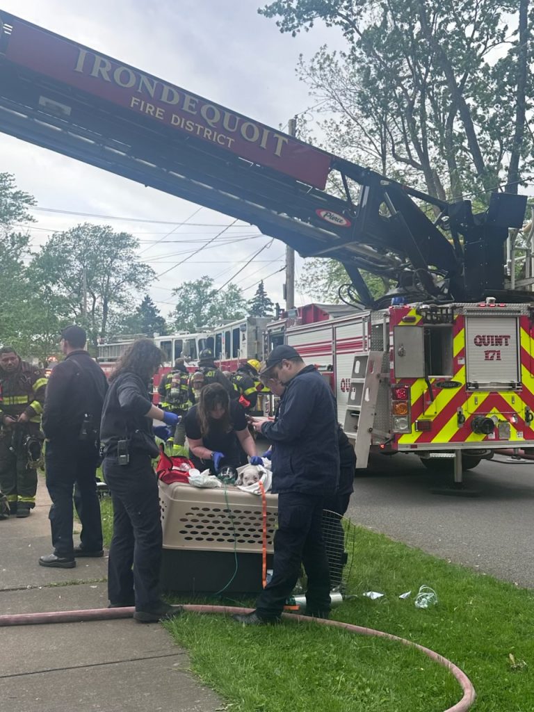Paramedics attend to a small white dog on a stretcher in front of a firetruck with "Irondequoit Fire District" on its ladder. Firefighters and emergency vehicles are present, and trees are visible in the background.